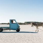 Bilder The Man Who Bought The Moon