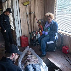 Bilder Vanessa Ferlito