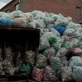 Bilder The Fourth Kingdom