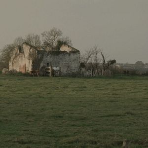 Bilder Pour Ernestine