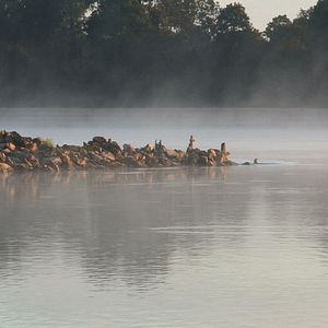 Bilder Pour Ernestine