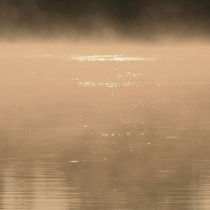 Bilder Pour Ernestine