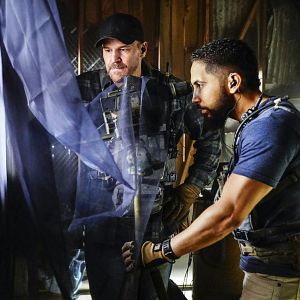 Bilder David Boreanaz