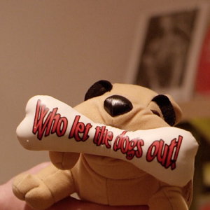 Bilder Who Let The Dogs Out