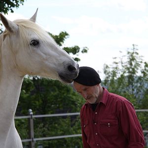 Bilder Peter Pfister - der Pferdemann