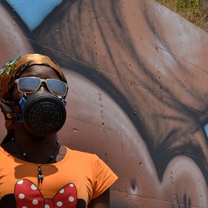 Bilder As Cores Da Serpente