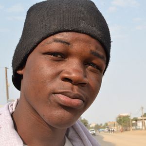 Bilder As Cores Da Serpente