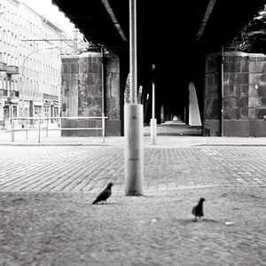 Bilder Der Funktionär