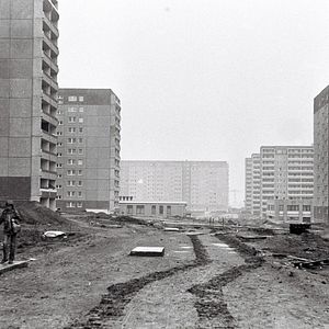 Bilder Der Funktionär