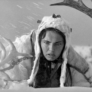 Bilder The White Reindeer