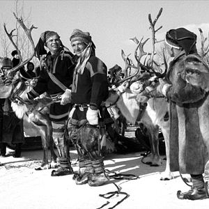 Bilder The White Reindeer