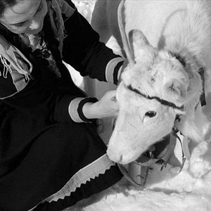 Bilder The White Reindeer