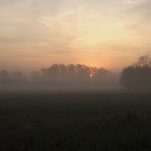 Bilder Spreeland. Fontane