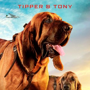 Bilder Superpower Dogs