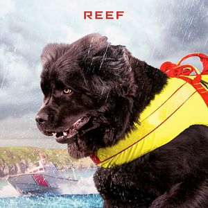 Bilder Superpower Dogs