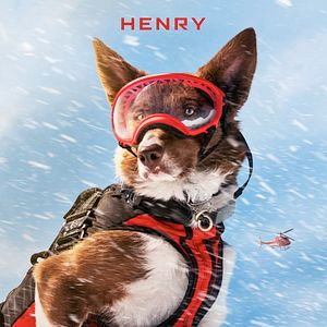 Bilder Superpower Dogs