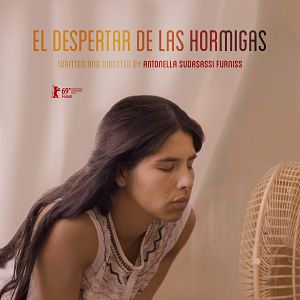 Bilder El Despertar de las Hormigas