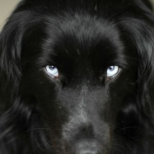 Bilder Unsere große kleine Farm