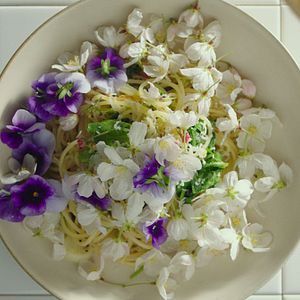 Bilder Little Forest