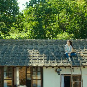 Bilder Little Forest