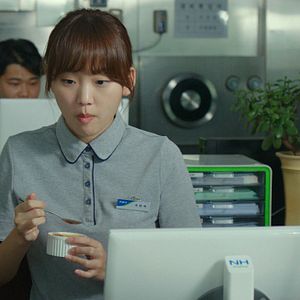 Bilder Little Forest