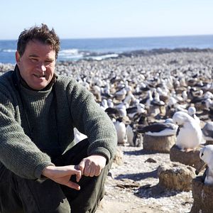 Bilder Alastair Fothergill