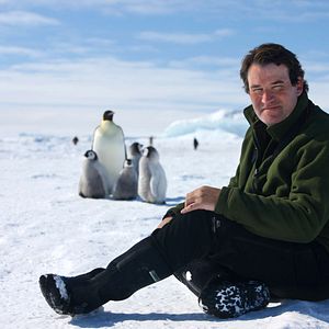 Bilder Alastair Fothergill