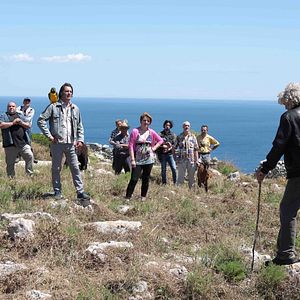 Bilder La Vita in Comune