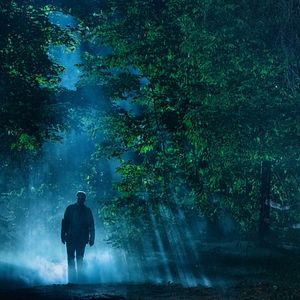 Bilder Friedhof der Kuscheltiere