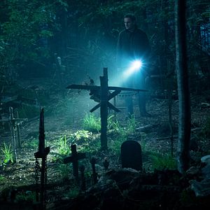 Bilder Friedhof der Kuscheltiere