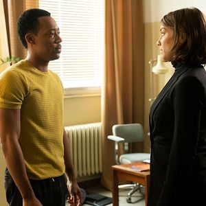 Bilder Whiskey Cavalier
