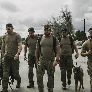 Bilder David Boreanaz