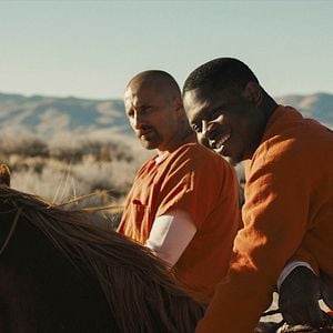 Bilder Matthias Schoenaerts