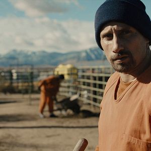 Bilder Matthias Schoenaerts