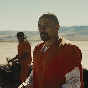 Bilder Matthias Schoenaerts