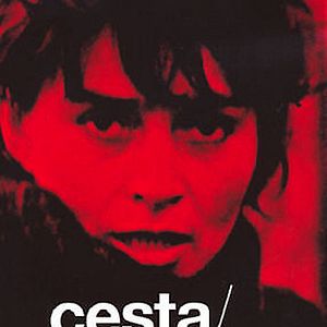 Bilder Cesta - Portret Věra Chytilová