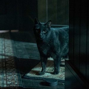 Bilder Chilling Adventures Of Sabrina