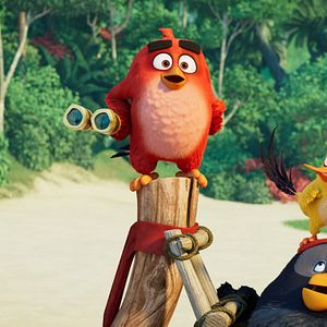 Bilder Angry Birds 2