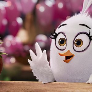 Bilder Angry Birds 2