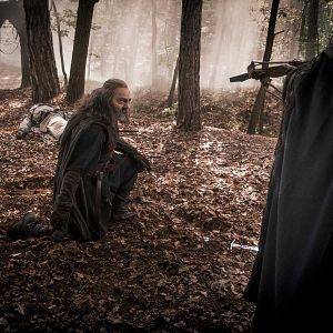 Bilder Nasser Memarzia