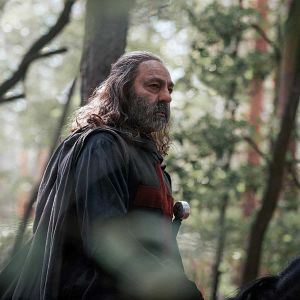 Bilder Nasser Memarzia