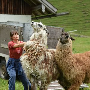 Bilder Frühling - Familie auf Probe