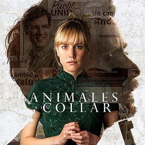 Bilder Animales sin collar