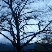 Bilder El Caído Del Cielo