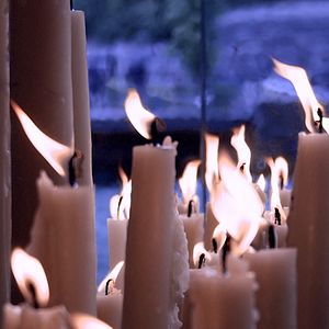 Bilder Hospitalarios, las manos de la Virgen