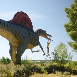 Bilder Die Meteoriten