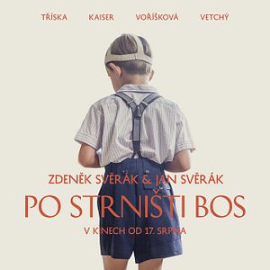 Bilder Po Strnisti Bos