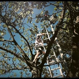 Bilder Adelheid, Kornelius & die Töde