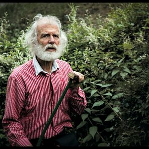 Bilder Adelheid, Kornelius & die Töde