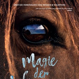 Bilder Magie der Wildpferde